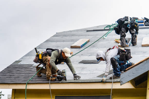 Professional Storm Damage Roof Repair technician working in Attica, NY